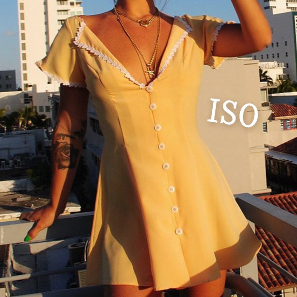 ISO: The Rosemilk Margherita Button Down Dress